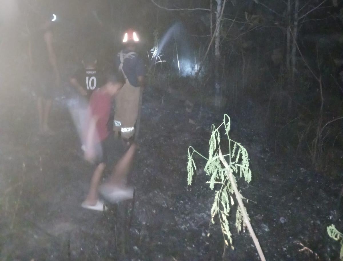 Kebakaran Rumpun Bambu di Desa Pomahan Baureno Berhasil Dipadamkan
