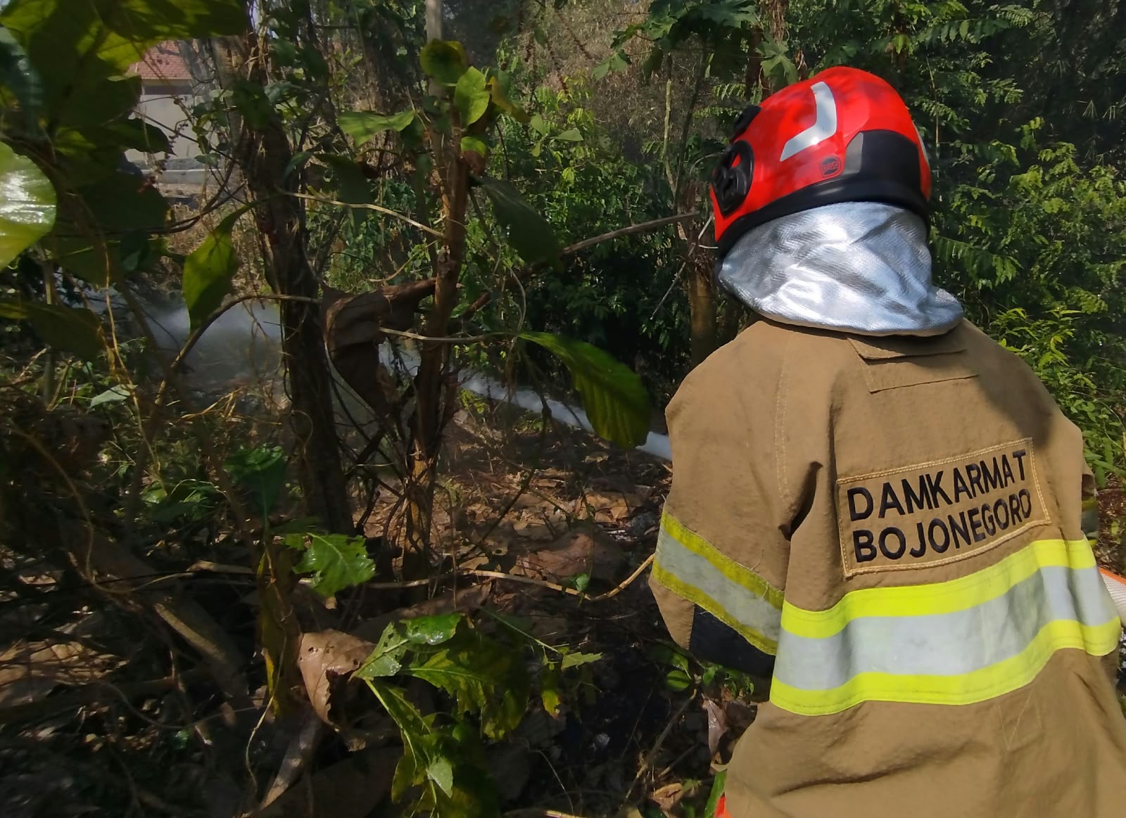 Kebakaran Lahan dan Rumpun Bambu Dekat Pemukiman di Kasiman Berhasil Dipadamkan Damkarmat