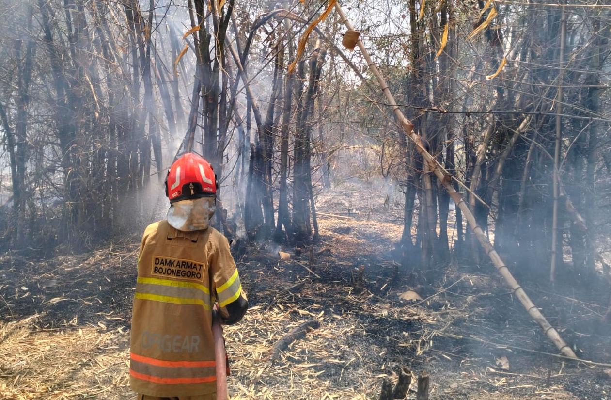 Kebakaran Lahan di Desa Pilanggede Balen Berhasil Dipadamkan Damkarmat