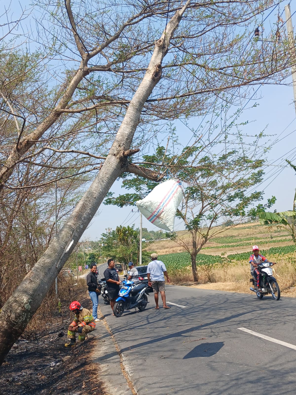 Kebakaran Lahan Seluas 500 Meter Persegi di Desa Bulu Berhasil Dipadamkan Damkarmat