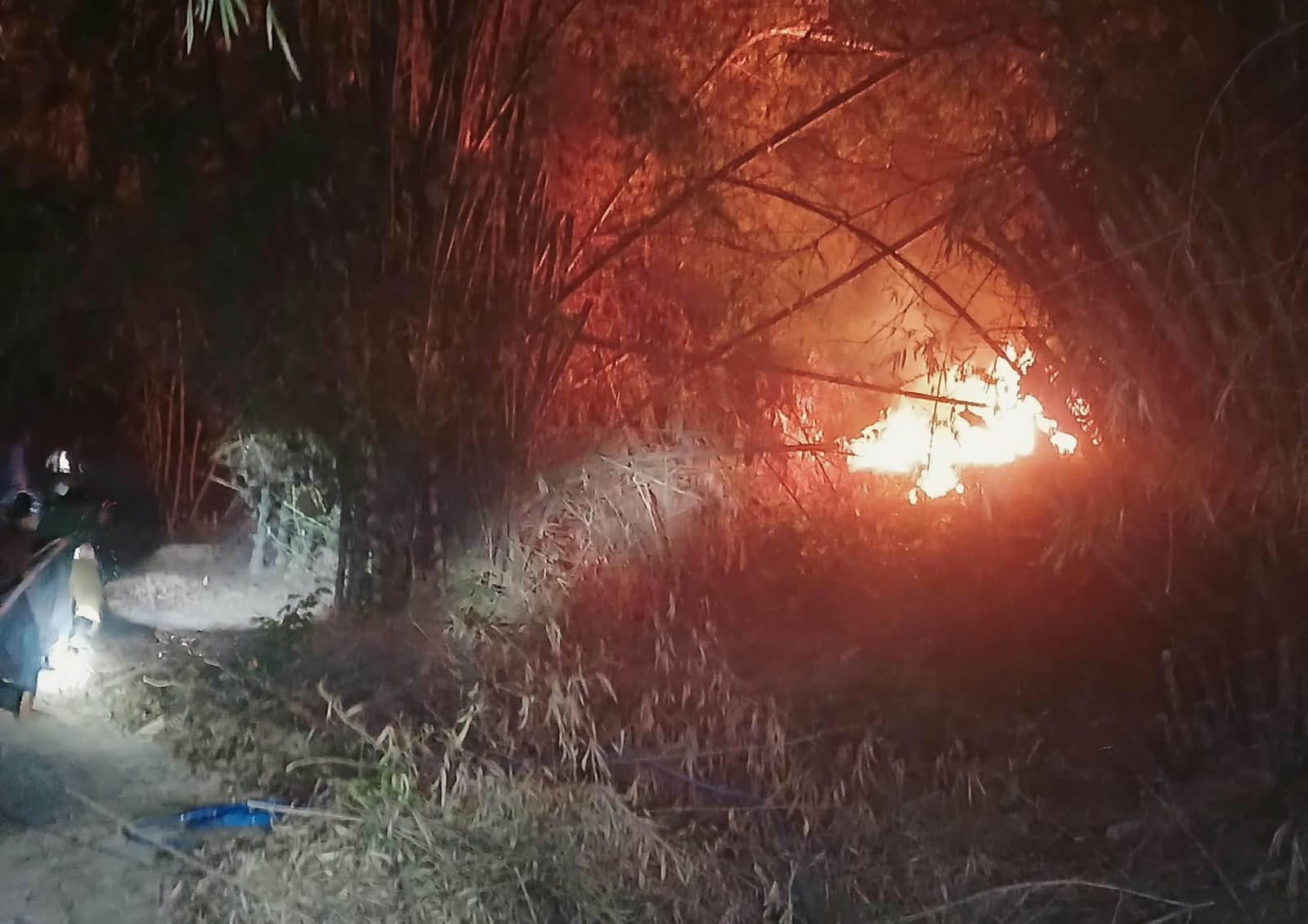 Kebakaran Lahan di Desa Sumuragung Baureno, Dua Rumpun Bambu Terbakar