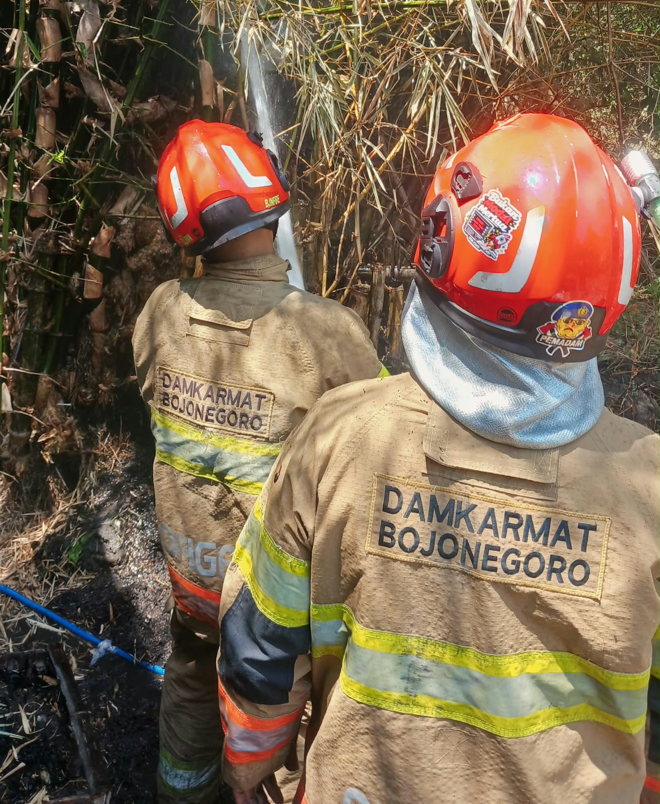 Kebakaran Rumpun Bambu di Baureno Berhasil Dipadamkan Damkarmat