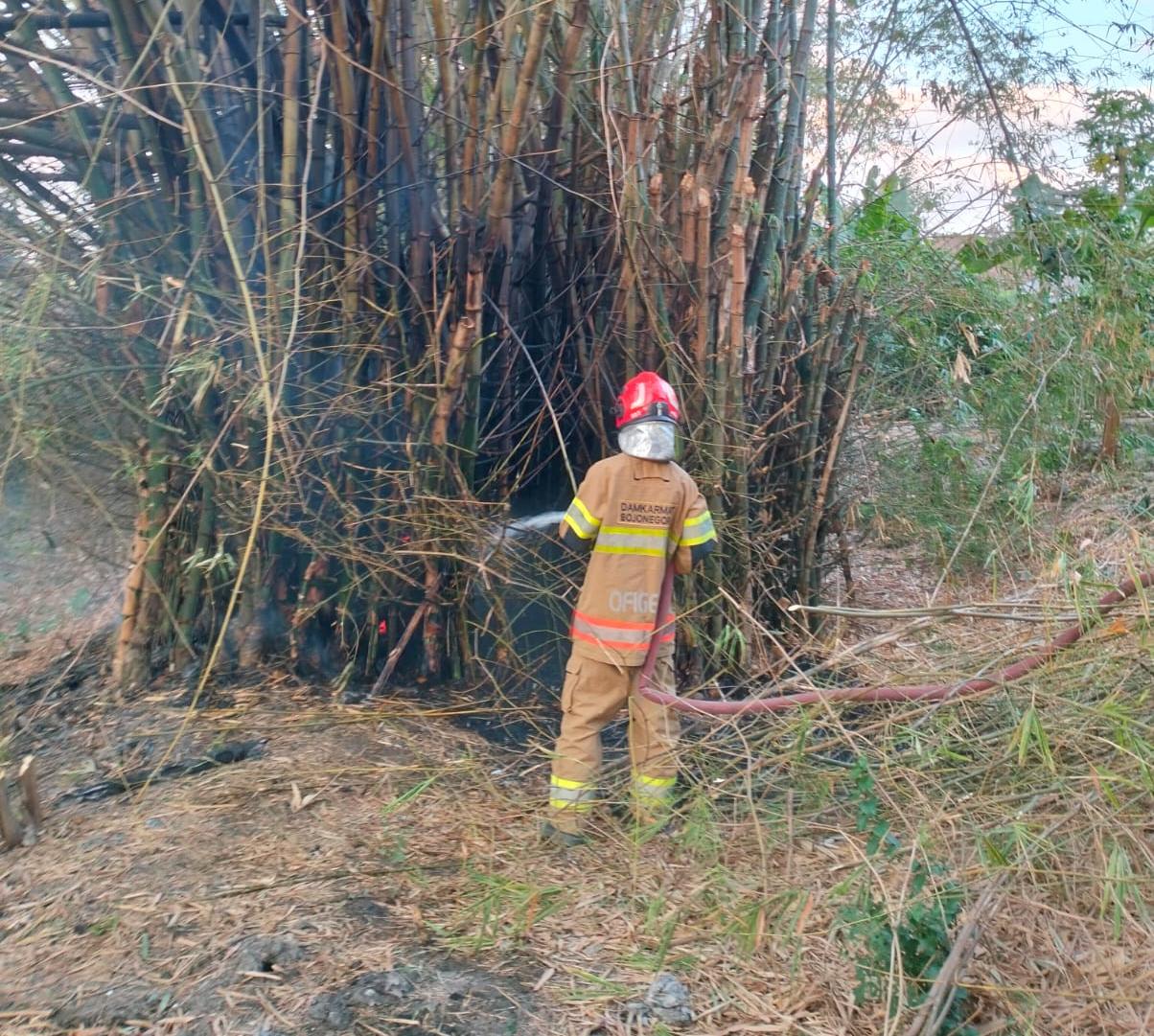 Kebakaran Rumpun Bambu di Kanor Berhasil Dipadamkan, Gudang Warga Berhasil Diselamatkan