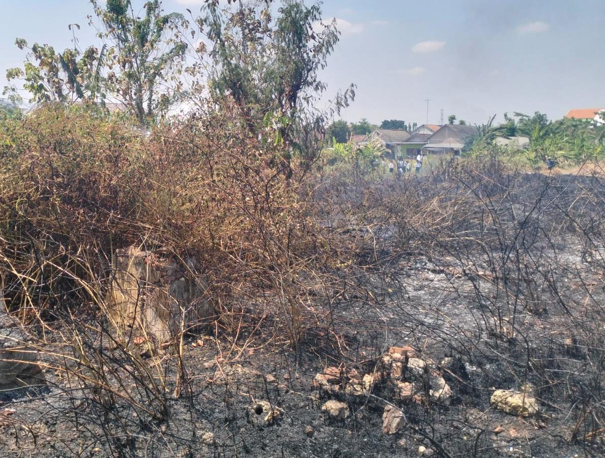 Kebakaran Lahan Kosong di Sumberrejo Berhasil Dipadamkan Damkarmat