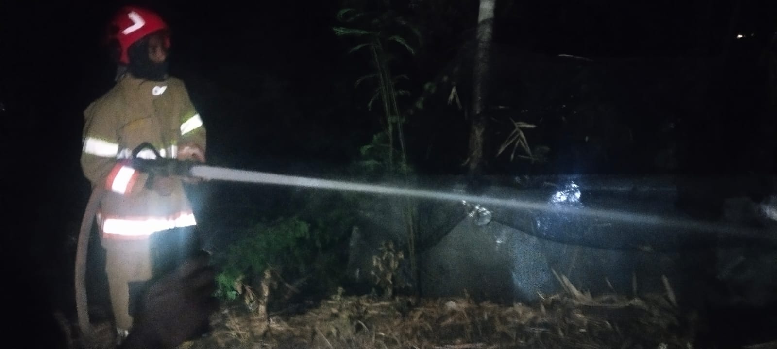 Kebakaran Rumpun Bambu di Malo, Puluhan Bambu Terbakar dan Kabel Listrik Terdampak
