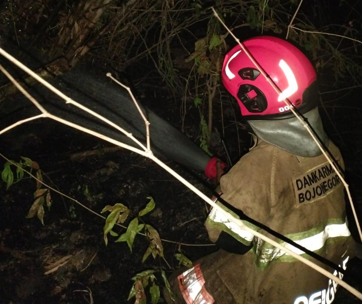 Kebakaran Rumpun Bambu di Balen Dipicu Pembakaran Sampah