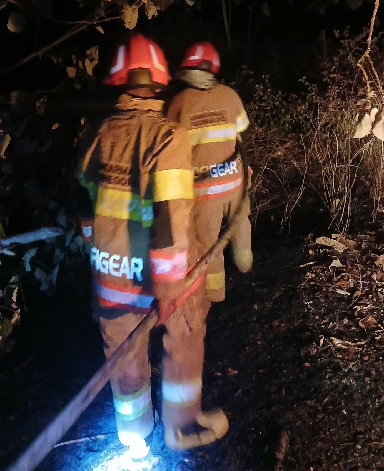 Kebakaran Lahan di Tambakrejo Berhasil Dipadamkan, Tidak Ada Korban