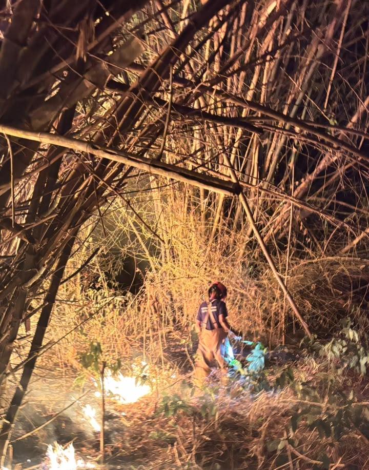 Kebakaran Rumpun Bambu Dekat Permukiman di Purwosari Berhasil Dipadamkan