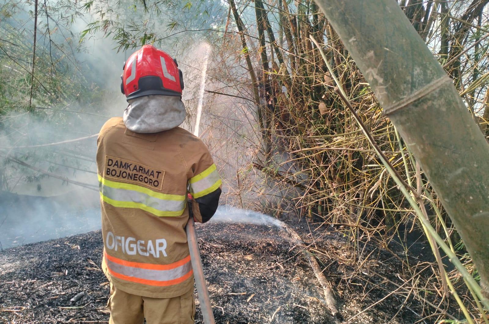 Kebakaran Rumpun Bambu di Balen Dipicu Pembakaran Sampah Yang Ditinggal