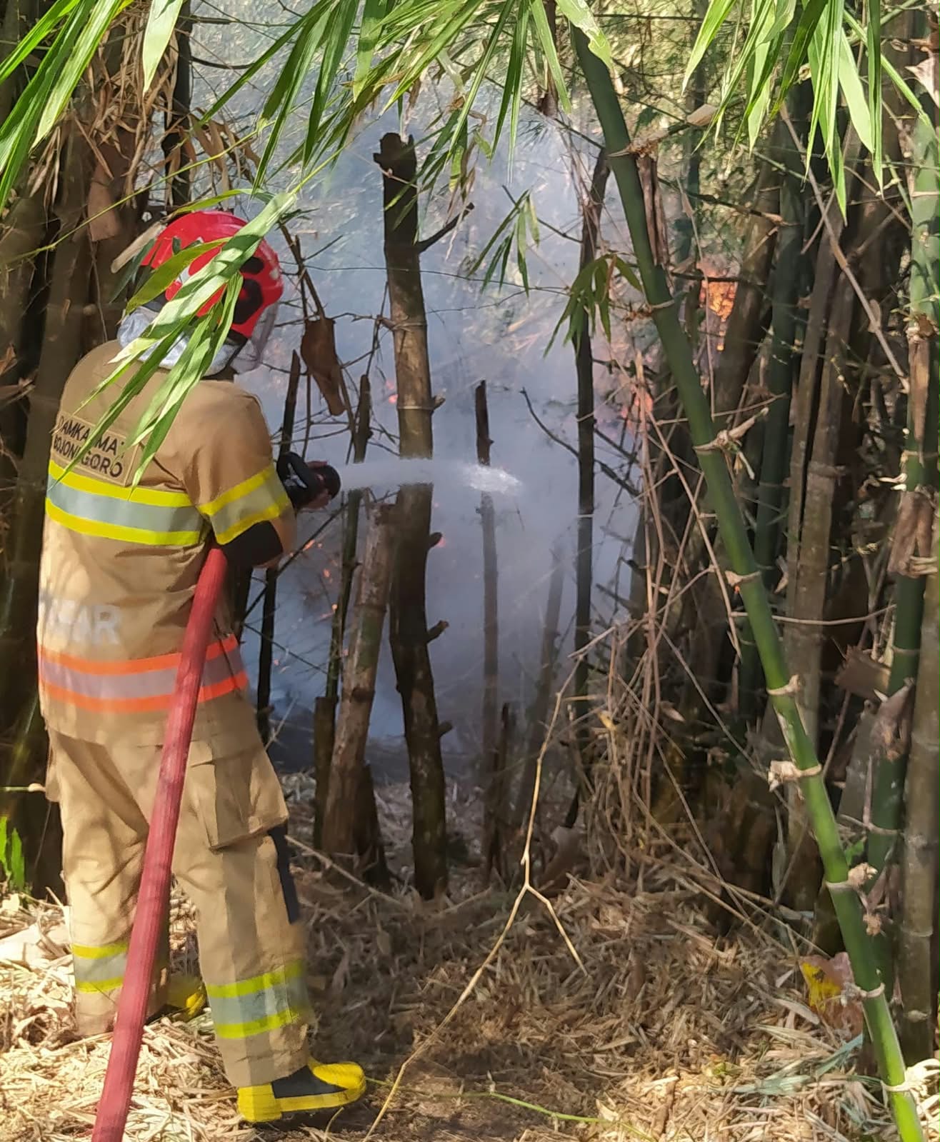 Kebakaran 20 Rumpun Bambu di Ngraho, Damkarmat Kerahkan Dua Armada