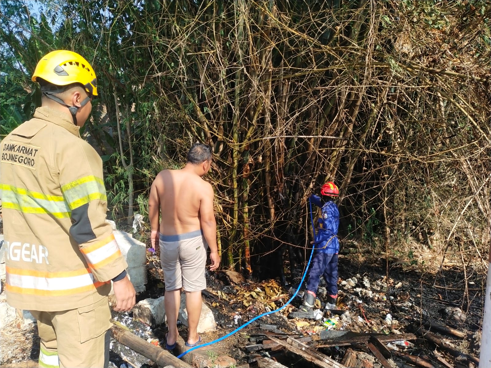 Damkarmat Bojonegoro Padamkan Kebakaran Rumpun Bambu di Margomulyo Balen