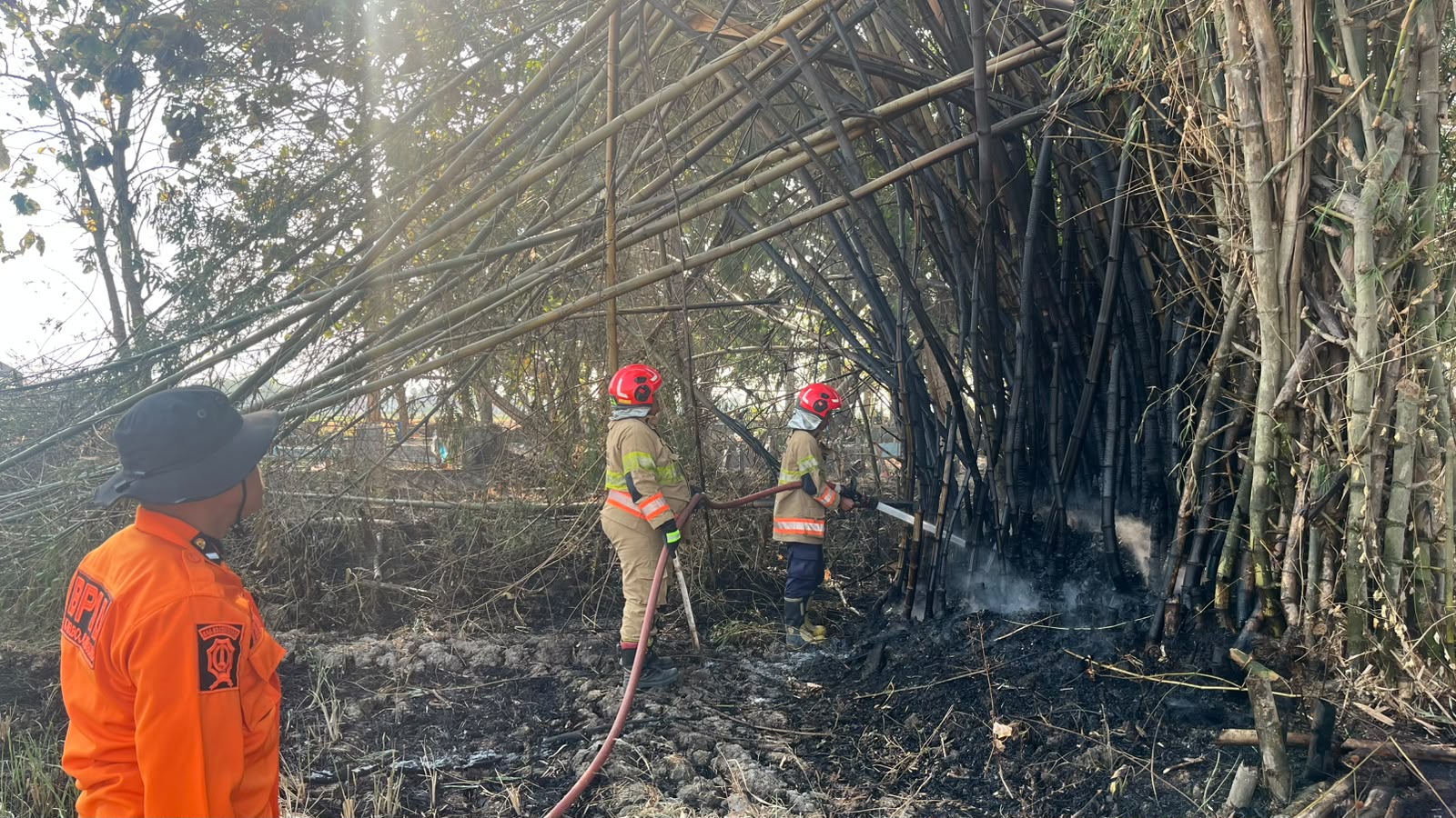Damkarmat Bojonegoro Padamkan Kebakaran Rumpun Bambu di Area TPU Trucuk