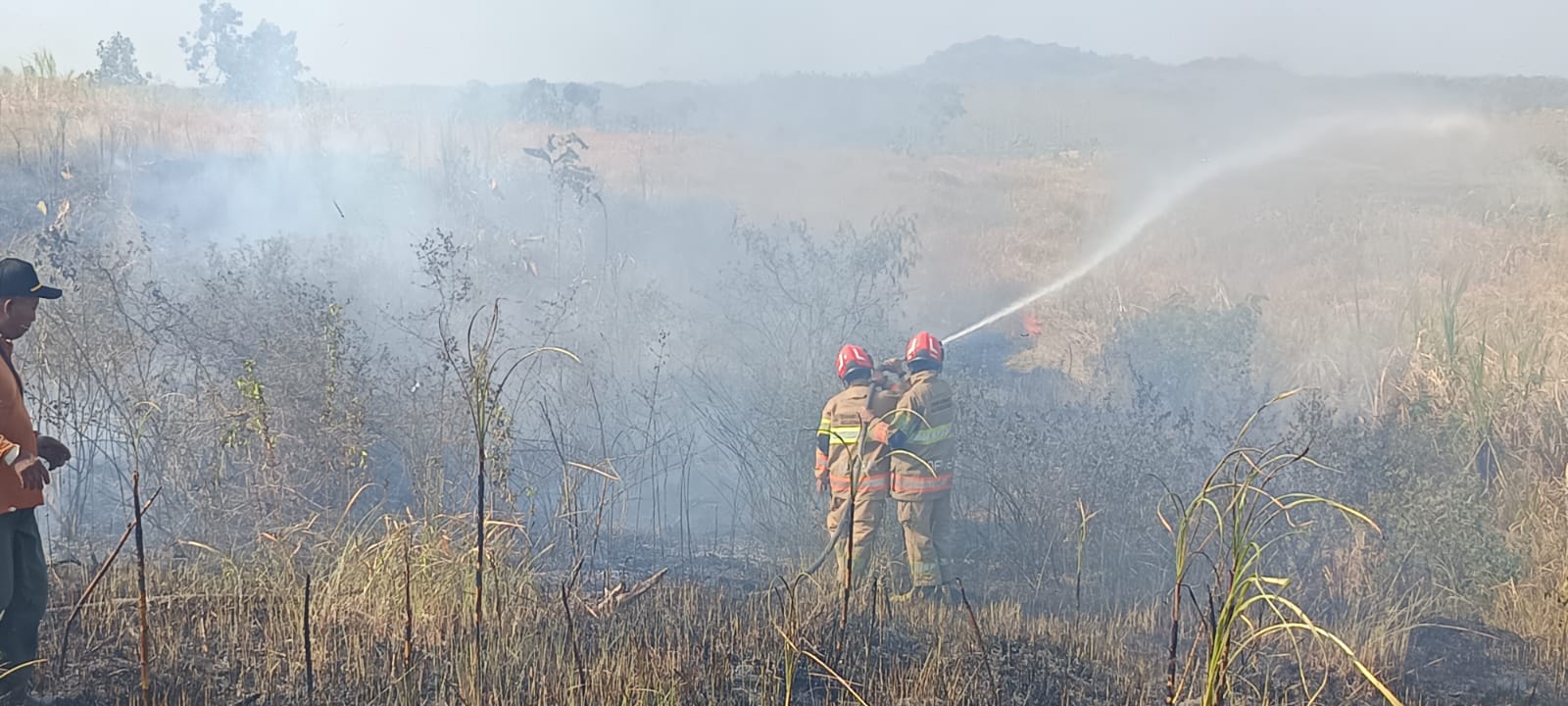 Damkarmat Bojonegoro Padamkan Kebakaran Hutan di Temayang, Selamatkan Lahan Tebu 31 Hektare