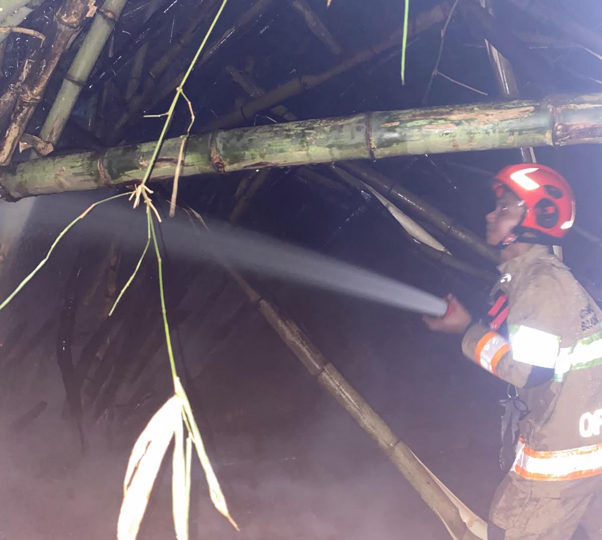 Damkarmat Bojonegoro Padamkan Kebakaran Rumpun Bambu Dekat Permukiman di Purwosari