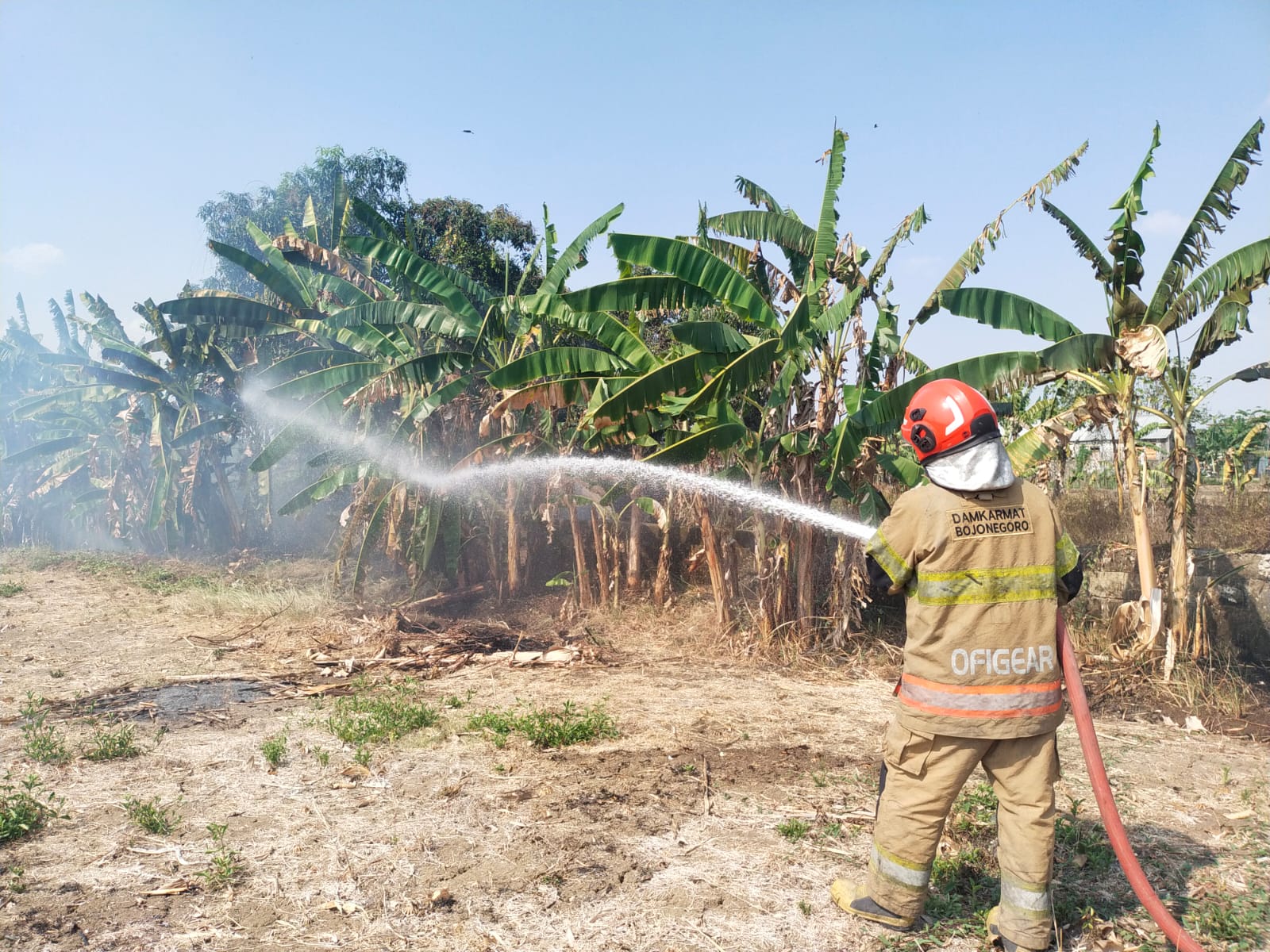 Damkarmat Bojonegoro Padamkan Kebakaran Lahan di Mulyoagung