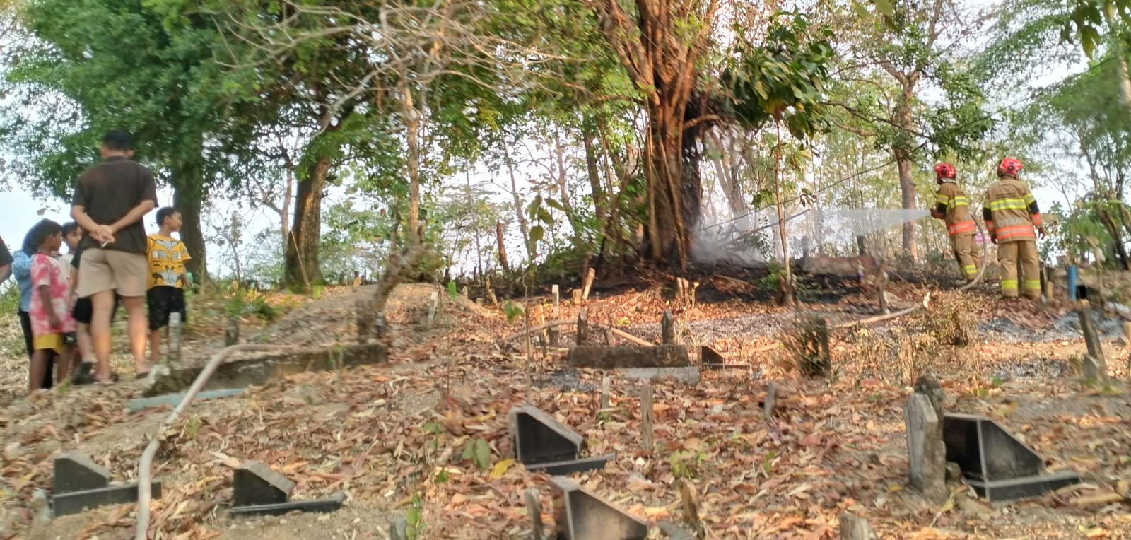 Damkarmat Bojonegoro Padamkan Kebakaran Lahan dan Pohon Juwar di Dukohkidul