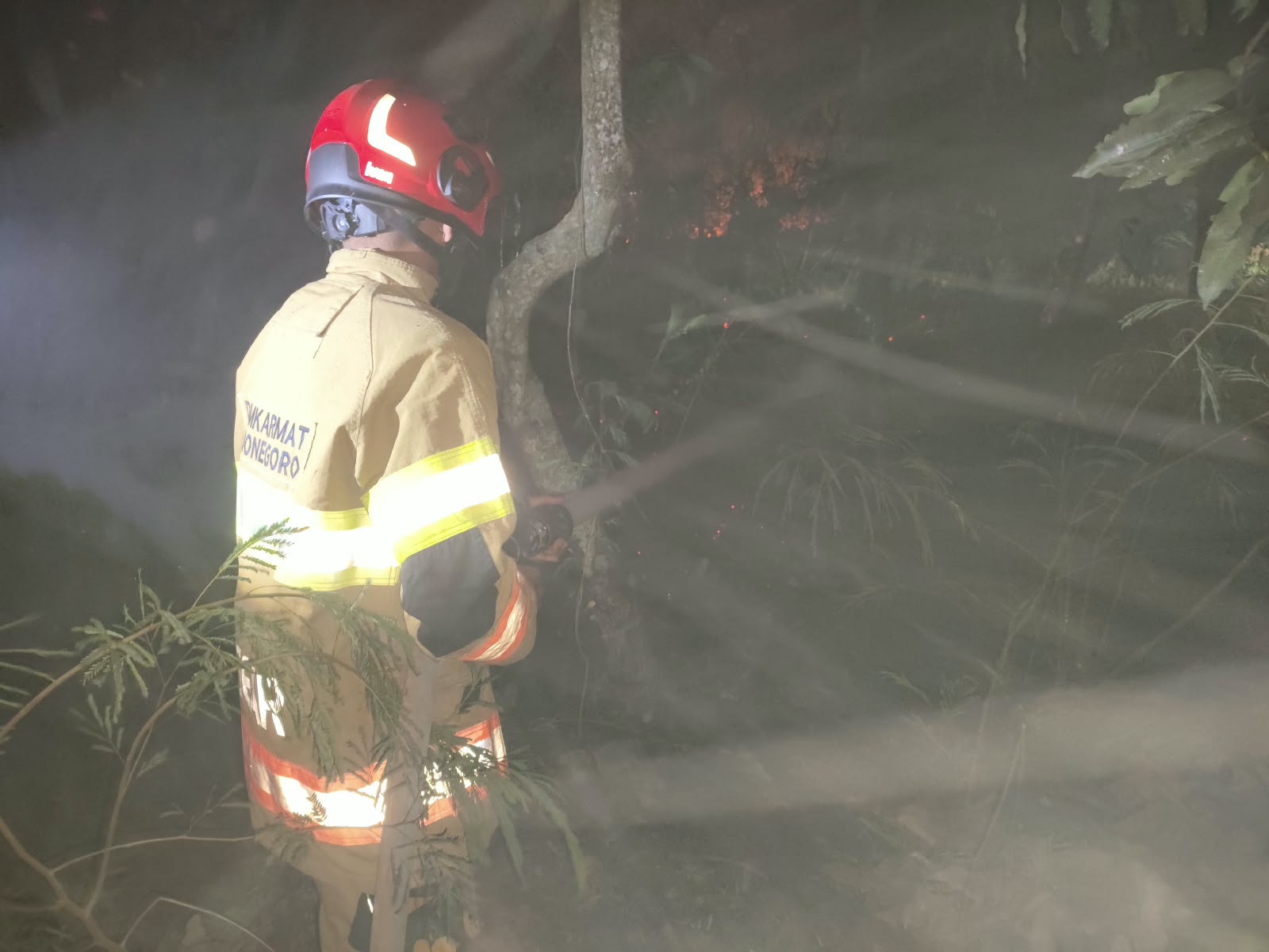Damkarmat Bojonegoro Padamkan Kebakaran Lahan dan Rumpun Bambu di Pomahan
