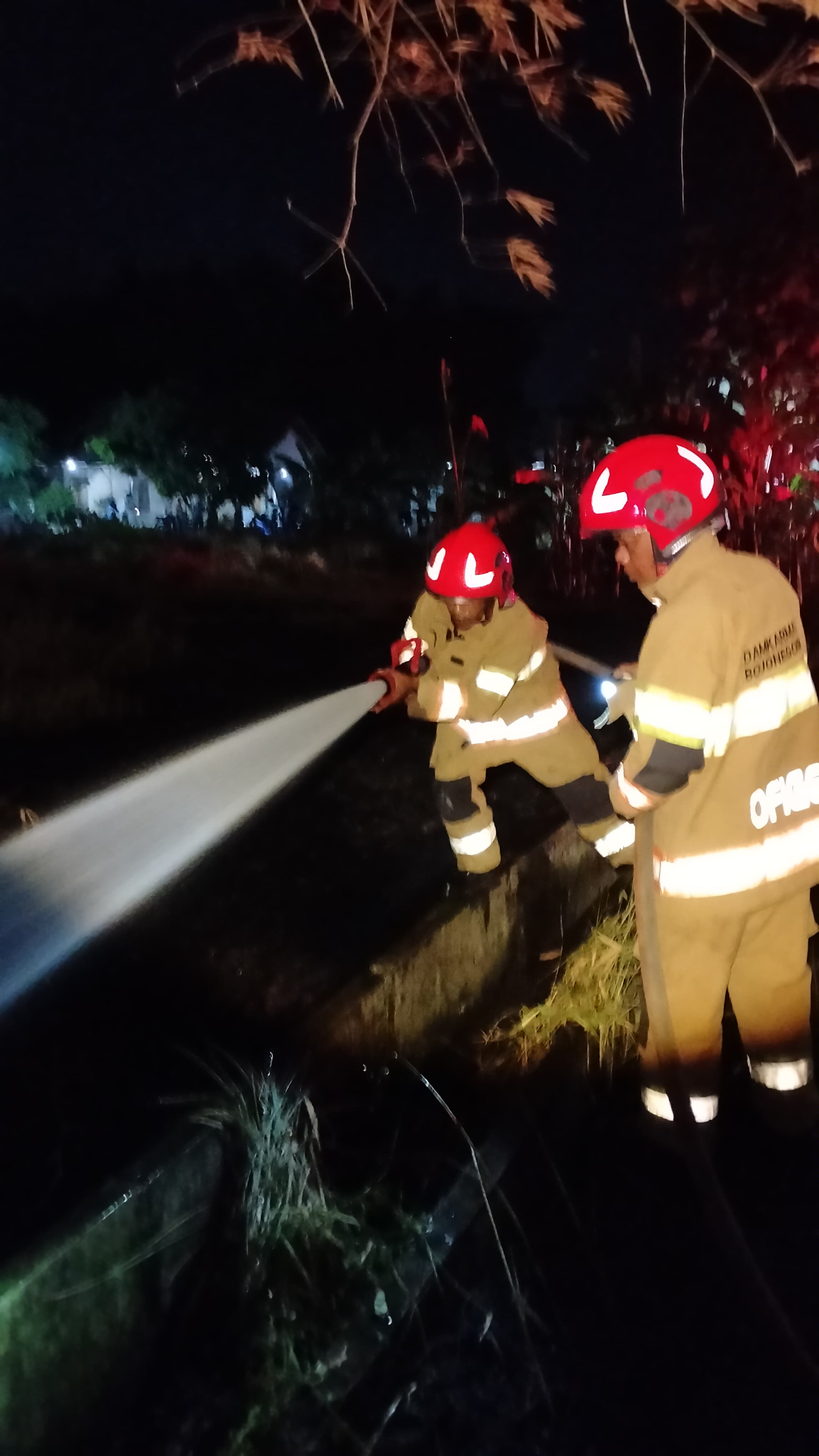 Damkarmat Bojonegoro Padamkan Kebakaran Lahan Kosong Dekat Permukiman di Dengok