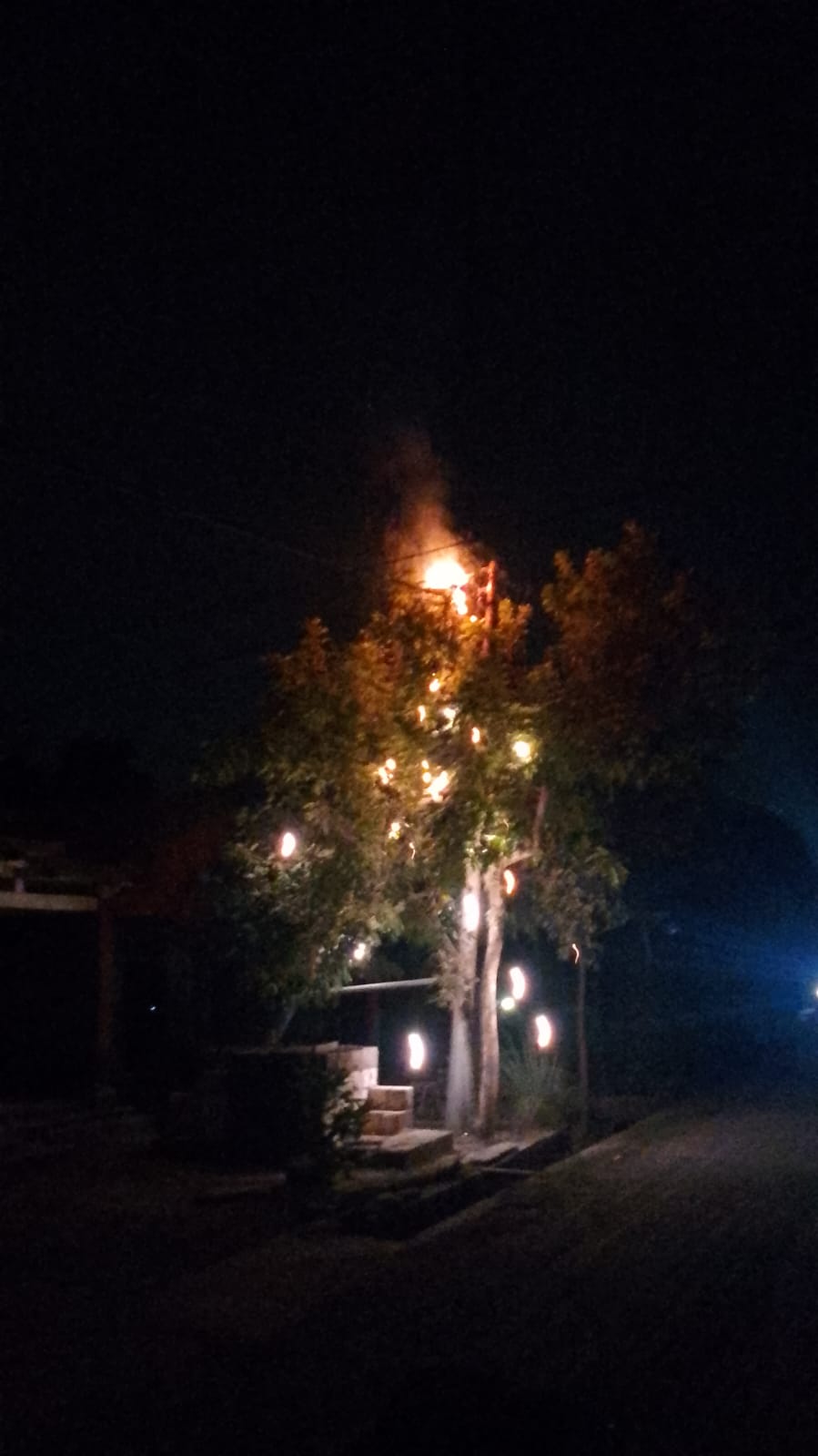 Damkarmat Bojonegoro Tangani Kebakaran Kabel SUTR di Mayangrejo Kalitidu