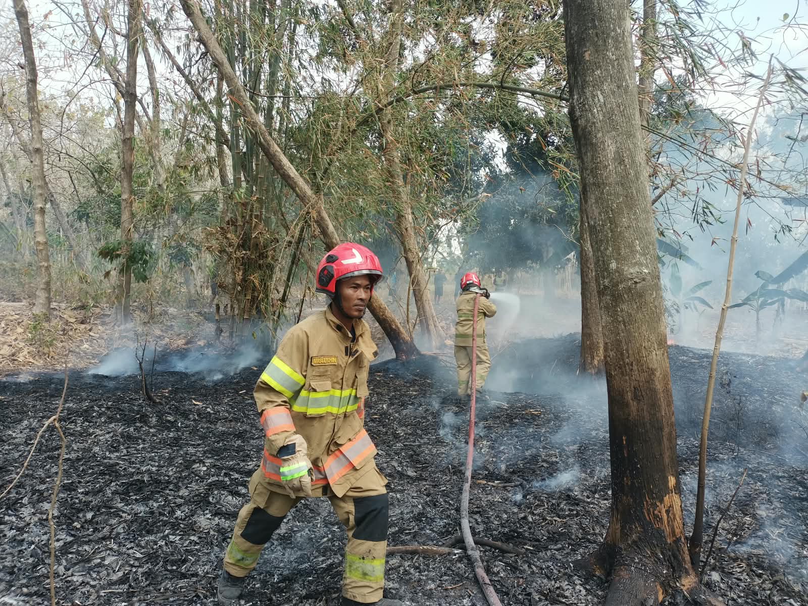 Damkarmat Bojonegoro Padamkan Kebakaran Lahan di Kumpulrejo Kapas