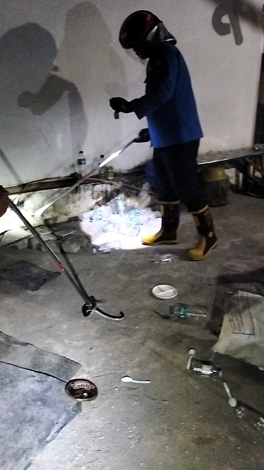 Damkarmat Bojonegoro Evakuasi Ular Pelangi dari Rumah Warga di Balenrejo
