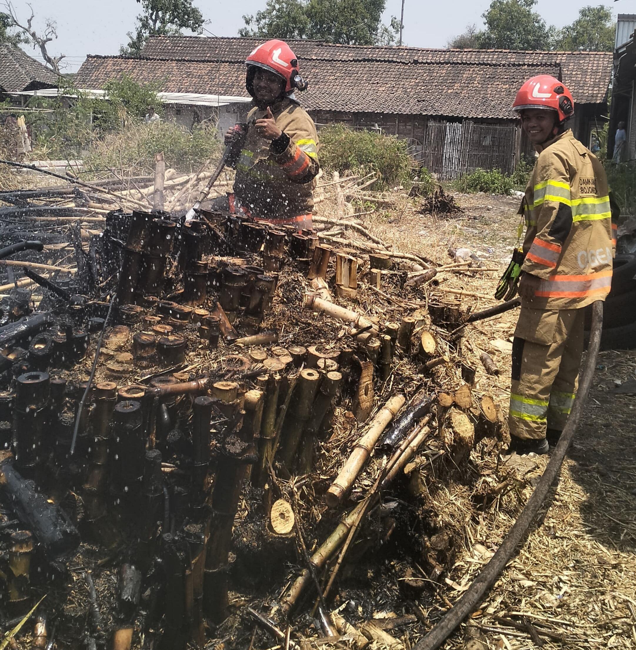 Damkarmat Bojonegoro Padamkan Kebakaran Rumpun Bambu di Cendono, Rumah Warga Berhasil Diselamatkan