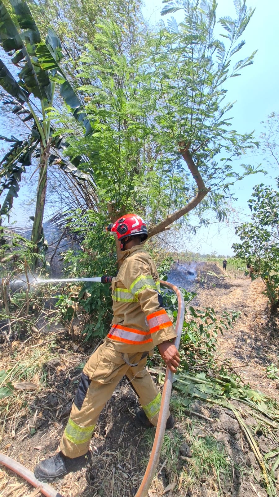 Damkarmat Bojonegoro Padamkan Kebakaran Tumpukan Jerami di Desa Suwaloh, Balen