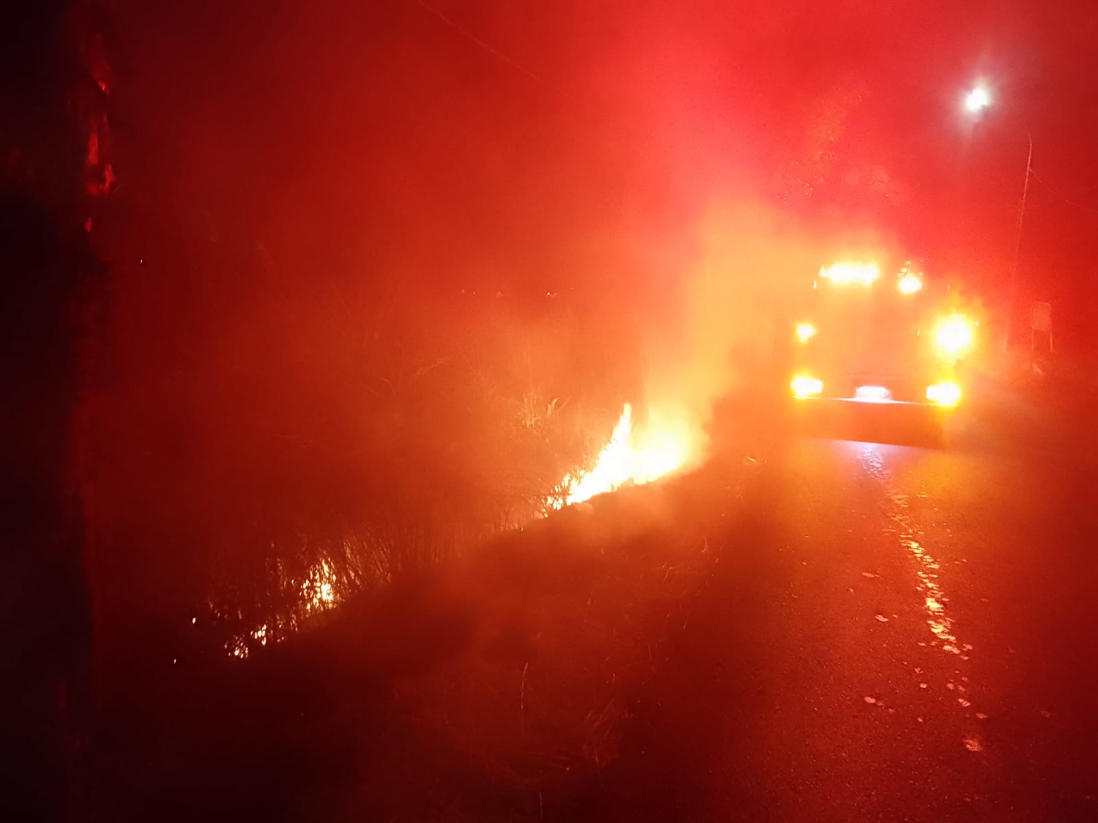 Damkarmat Bojonegoro Tangani Kebakaran Lahan yang Membahayakan Pengguna Jalan di Sambiroto