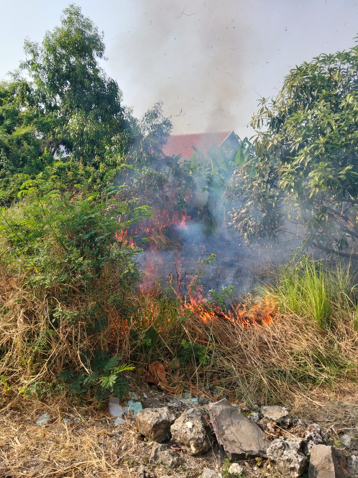 Damkarmat Bojonegoro Tangani Kebakaran Lahan di Jalan Arif Rahman Hakim