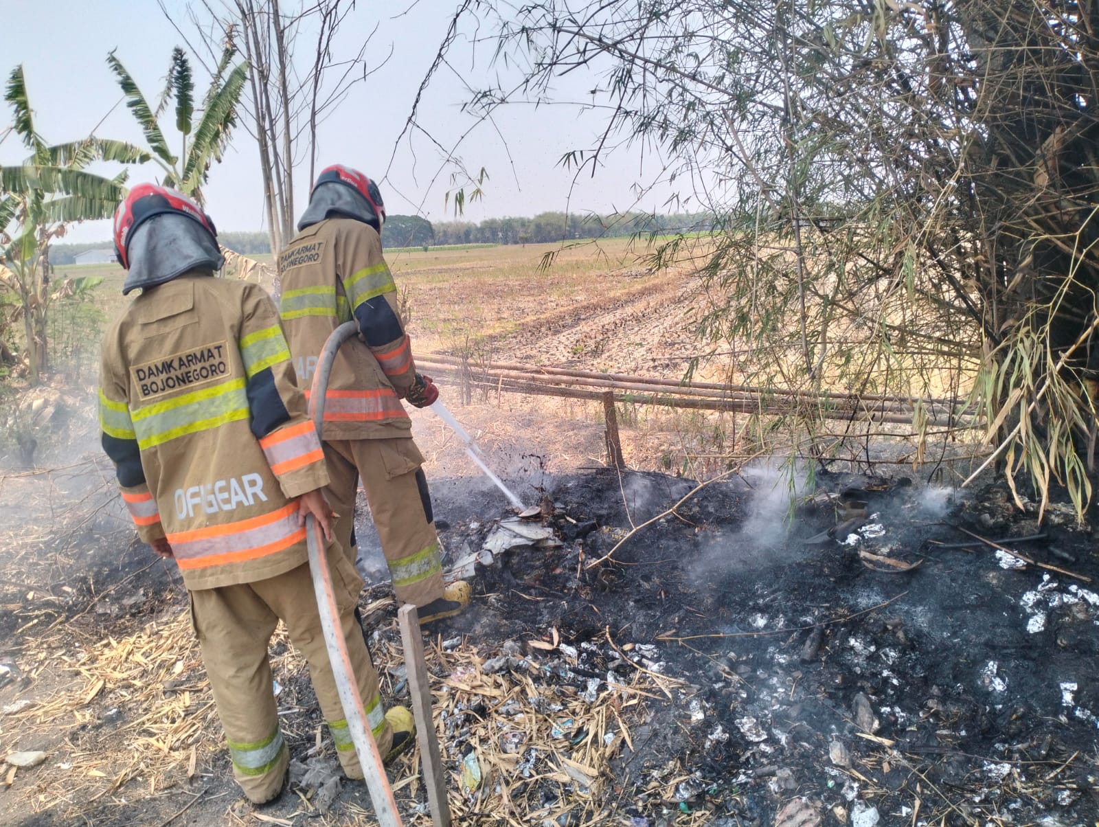 DAMKARMAT BOJONEGORO TANGANI KEBAKARAN RUMPUN BAMBU DI DESA PEJAMBON
