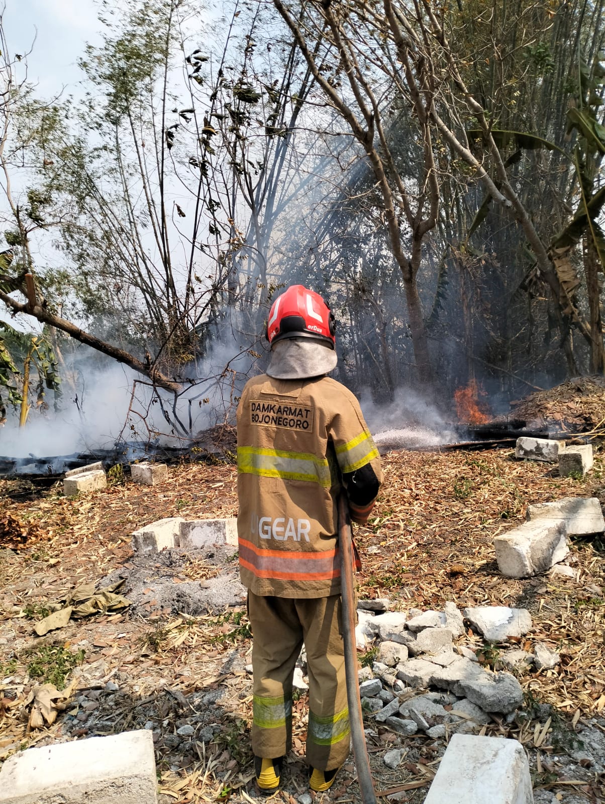 DAMKARMAT BOJONEGORO TANGANI KEBAKARAN RUMPUN BAMBU DI DESA PEKUWON