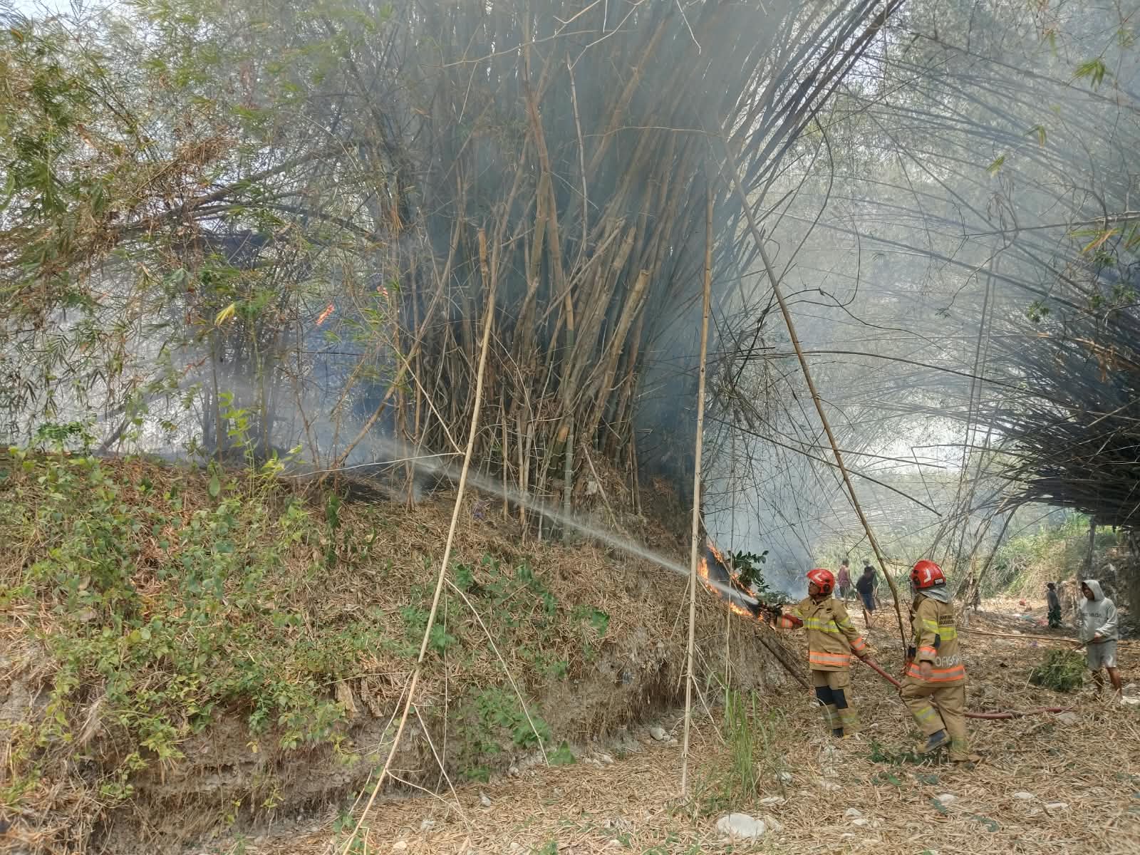 DAMKARMAT BOJONEGORO TANGANI KEBAKARAN LAHAN DAN RUMPUN BAMBU DI DESA BLIMBINGGEDE