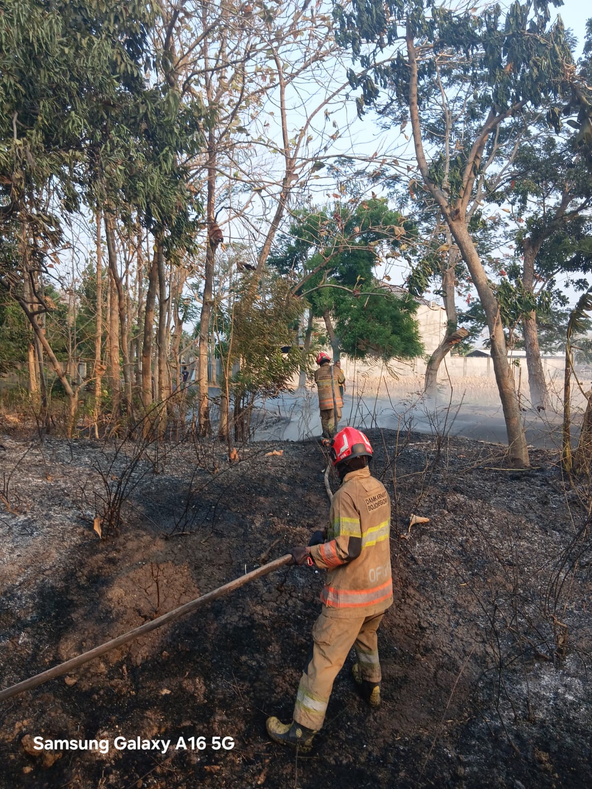 DAMKARMAT BOJONEGORO TANGANI KEBAKARAN LAHAN JATI DEKAT PERMUKIMAN