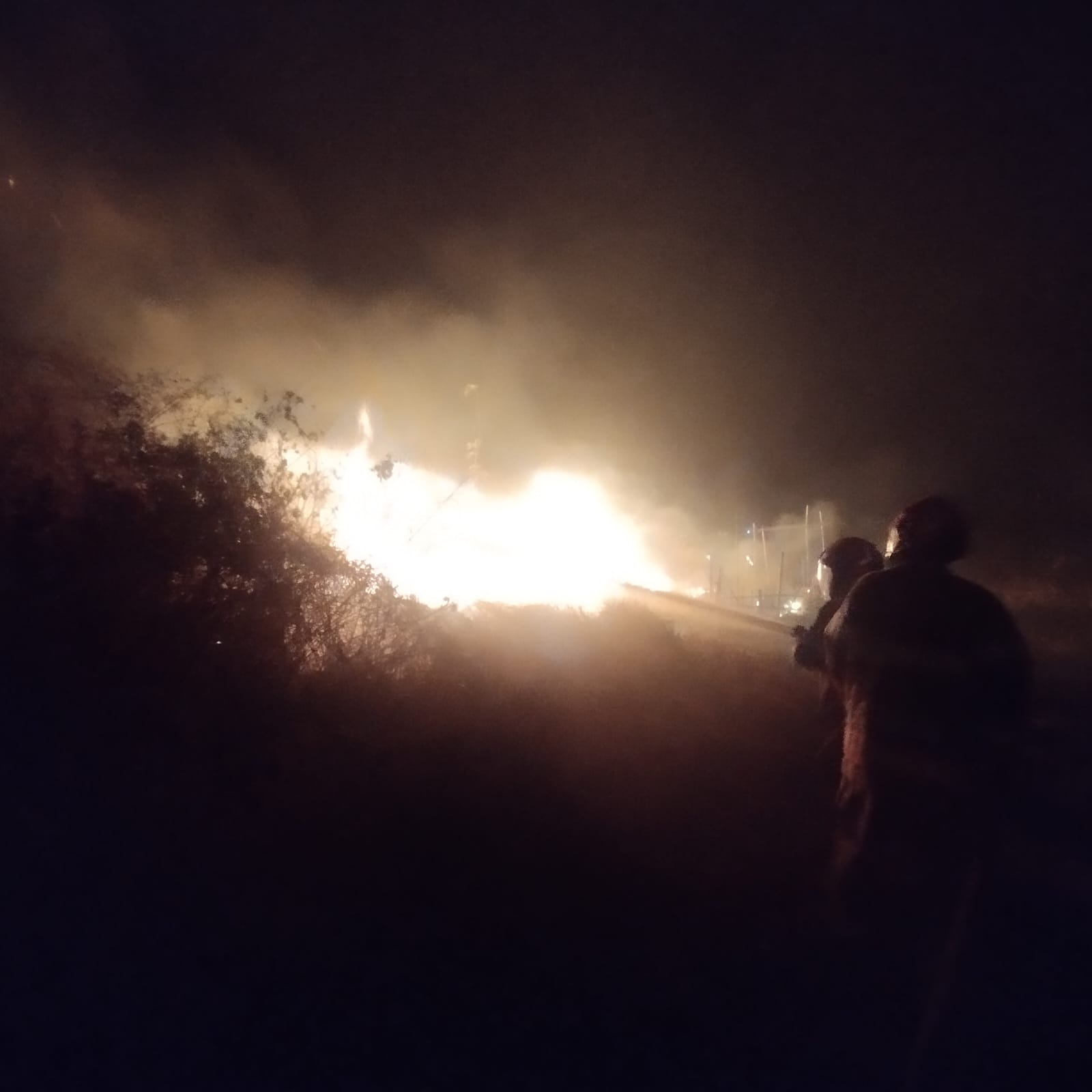 DAMKARMAT BOJONEGORO TANGANI KEBAKARAN LAHAN DI DESA SIDOREJO