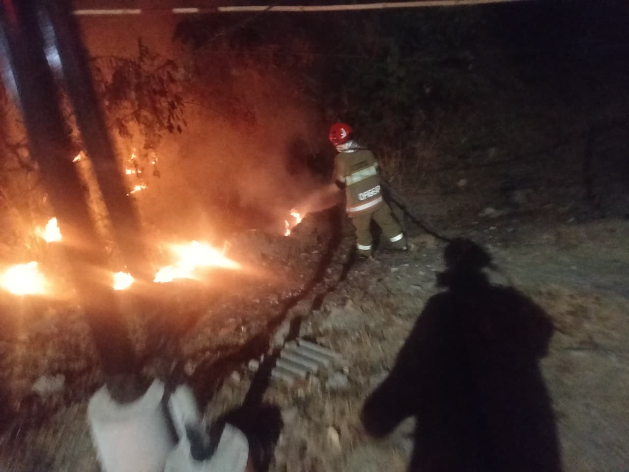 DAMKARMAT BOJONEGORO TANGANI KEBAKARAN LAHAN DAN RUMPUN BAMBU DEKAT PERMUKIMAN DI DESA PRANGI