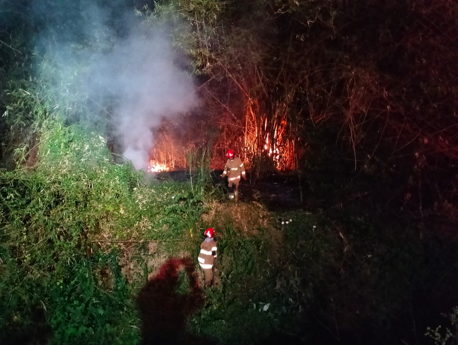 DAMKARMAT BOJONEGORO TANGANI KEBAKARAN RUMPUN BAMBU DI DESA SUMBERREJO