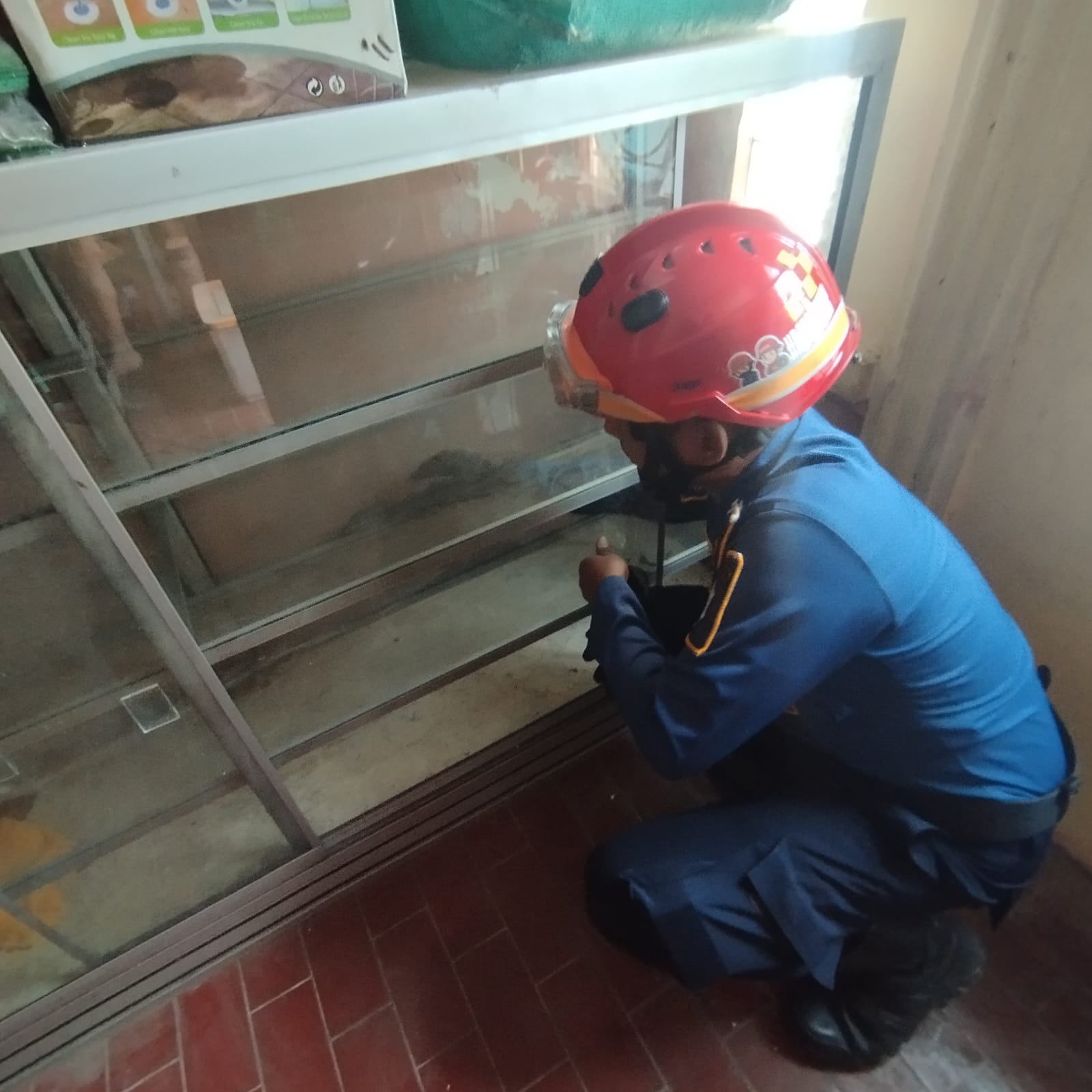 Damkarmat Bojonegoro Evakuasi Biawak Air Tawar di Sukorejo