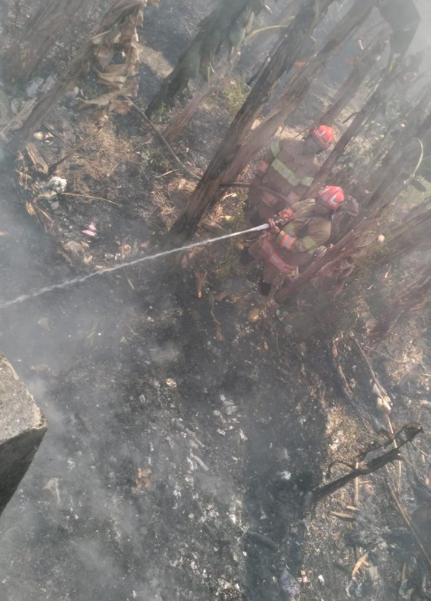 Damkarmat Bojonegoro Tangani Kebakaran Lahan di Desa Cangaan Kanor