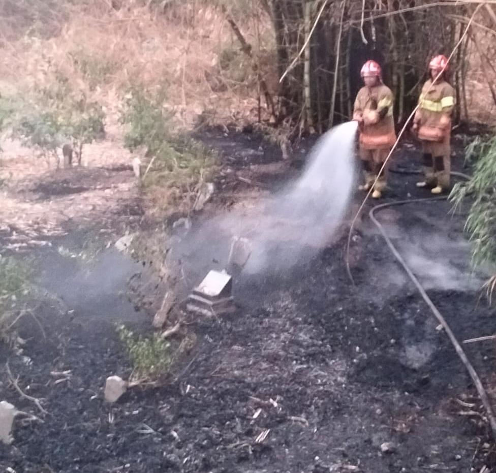 Damkarmat Bojonegoro Tangani Kebakaran Rumpun Bambu di Pilanggede