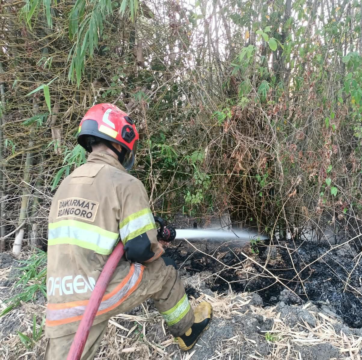 Damkarmat Bojonegoro Tangani Kebakaran Rumpun Bambu di Desa Sarirejo