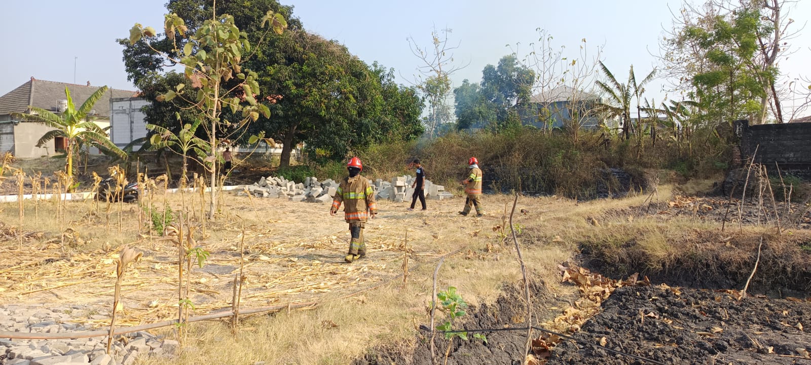 Pembakaran Daun Kering Picu Kebakaran Lahan di Temayang