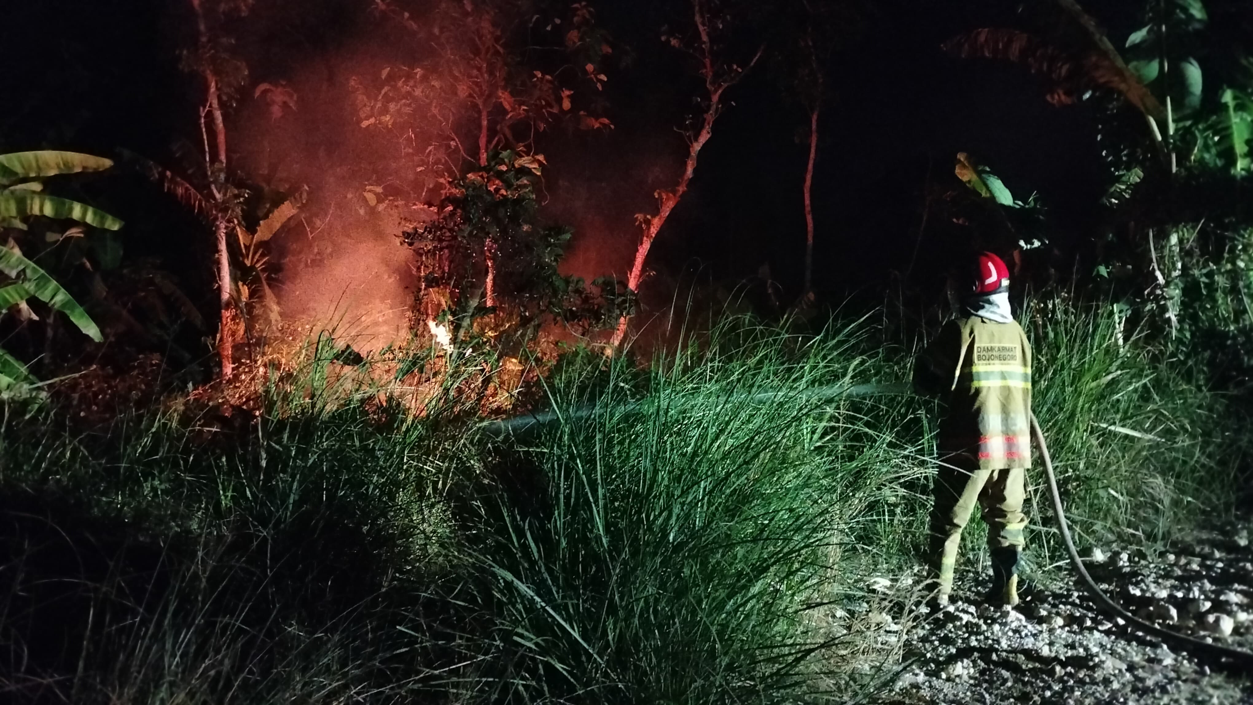 Damkarmat Bojonegoro Padamkan Kebakaran Lahan dan Alang-Alang di Desa Jelu
