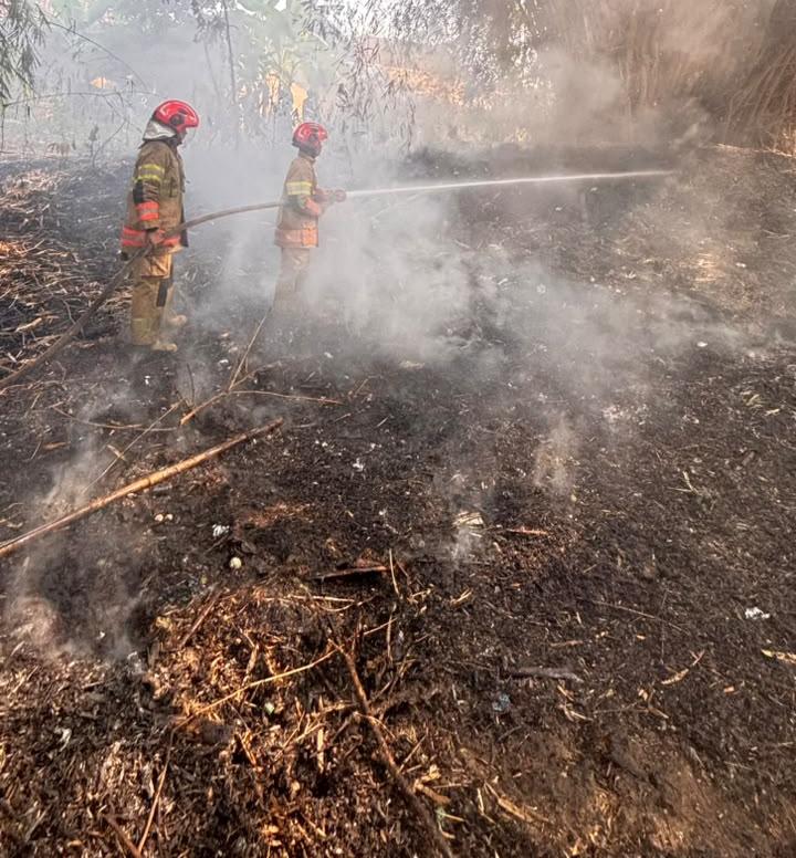 Damkarmat Bojonegoro Tangani Kebakaran Lahan dan Limbah Arang di Desa Sumberbendo