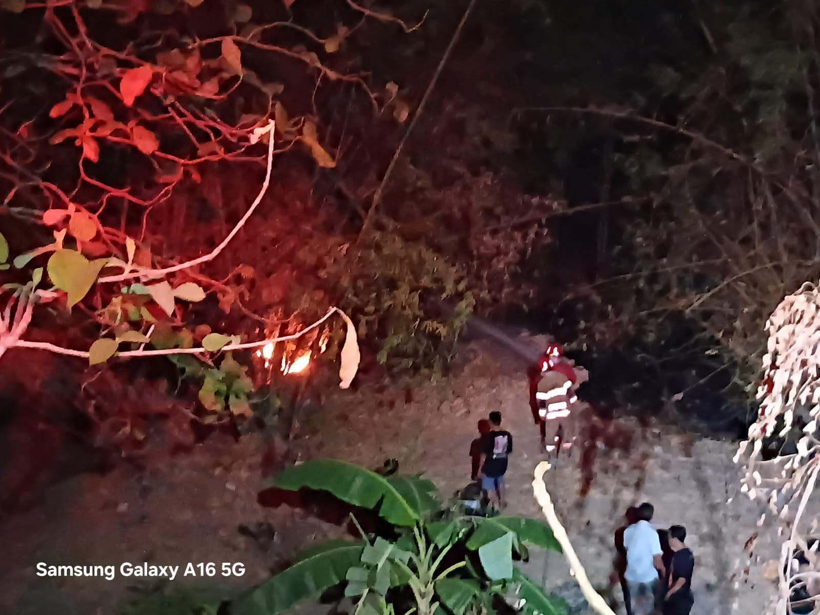 Damkarmat Bojonegoro Tangani Kebakaran Rumpun Bambu di Desa Jatitengah