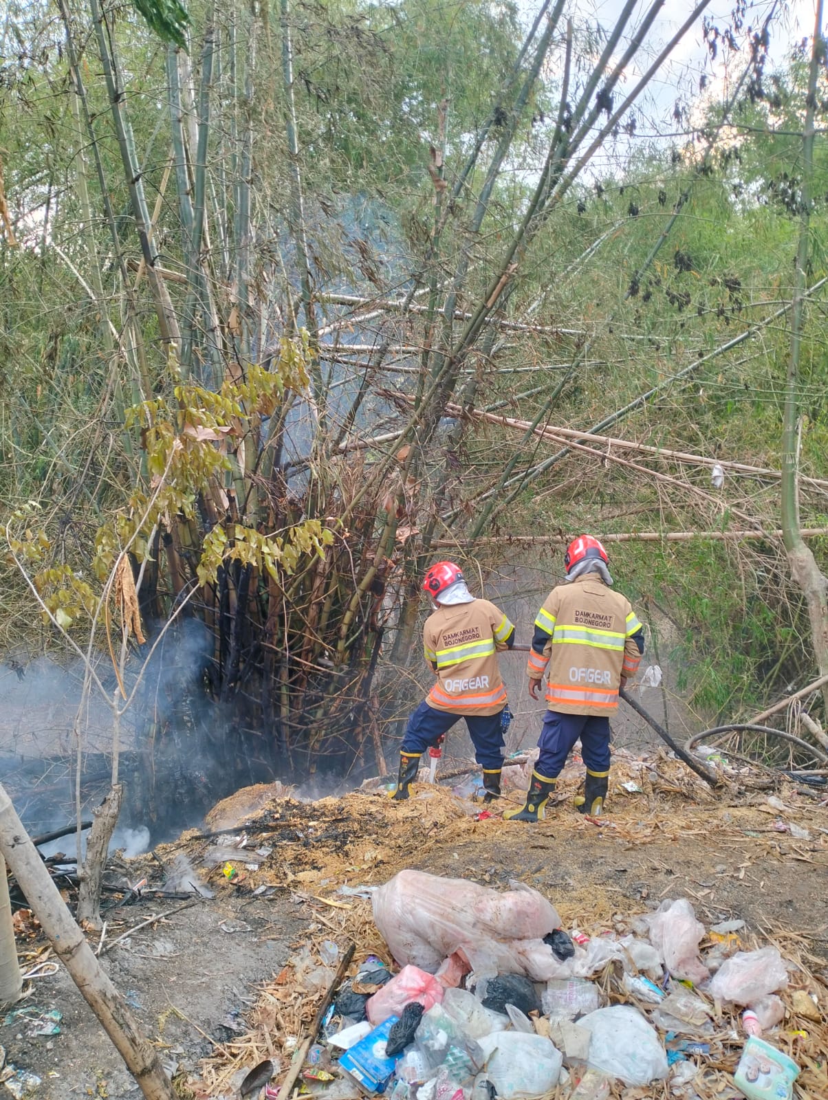Damkarmat Bojonegoro Tangani Kebakaran Rumpun Bambu di Desa Bobol