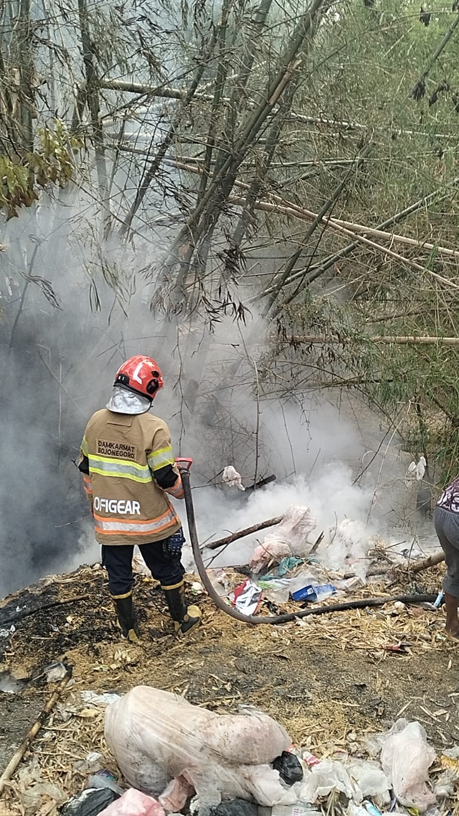 Damkarmat Bojonegoro Tangani Kebakaran Rumpun Bambu di Desa Pekuwon