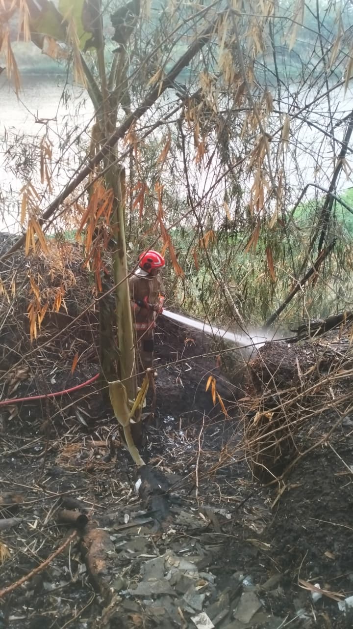 Damkarmat Bojonegoro Cegah Kebakaran Rumpun Bambu Menjalar ke Rumah Warga di Padangan