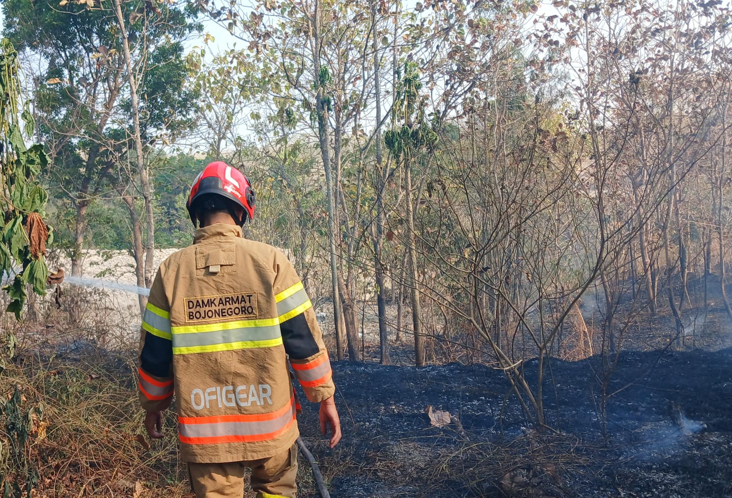 Damkarmat Bojonegoro Tangani Kebakaran Lahan di Desa Jawik