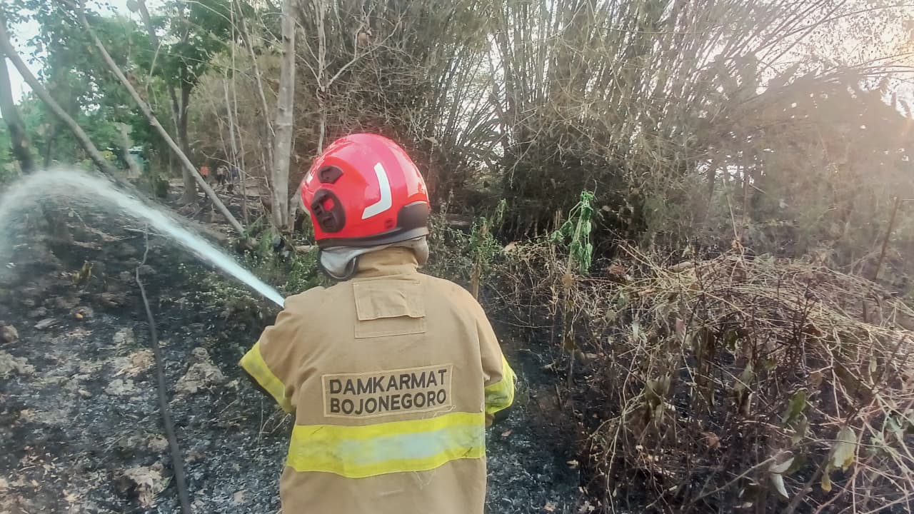Kebakaran Rumpun Bambu di Palembon, Damkarmat Bojonegoro Lakukan Pemadaman