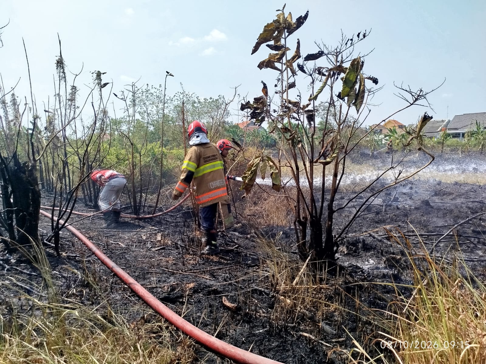 Damkarmat Bojonegoro Tangani Kebakaran Lahan Dekat Permukiman di Campurejo